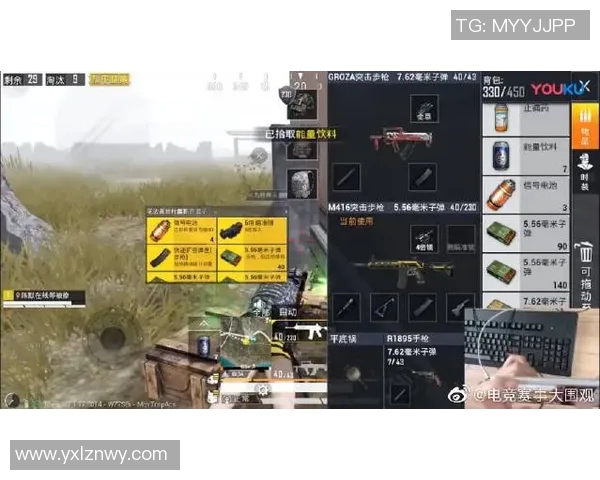 2026电竞新闻和平精英战术WE整体压制体系解析与实战应用探讨